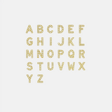 LOCKET | CHAIN | CHARMS